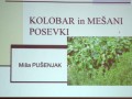 Občni zbor Društva kmetic Križevci - Veržej