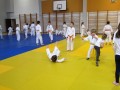 Otroški državni seminar v Aikidu