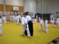 Otroški državni seminar v Aikidu