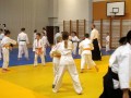 Otroški državni seminar v Aikidu