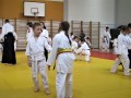 Otroški državni seminar v Aikidu