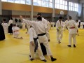 Otroški državni seminar v Aikidu