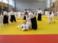 Otroški državni seminar v Aikidu