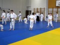 Otroški državni seminar v Aikidu