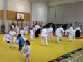 Otroški državni seminar v Aikidu