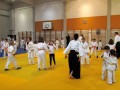 Otroški državni seminar v Aikidu