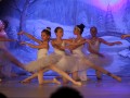 Premiera baletne predstave Gozdne vile