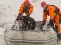 Reševanje psičke iz ledene vode