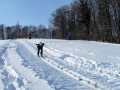 Smučarski skoki v Bodkovcih