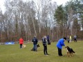 Tečaj šolanja psov v ŠKD Ljutomer - Križevci