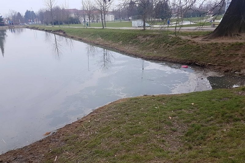 Tako je ribnik izgledal prejšnjo nedeljo, foto: PGD Ptuj