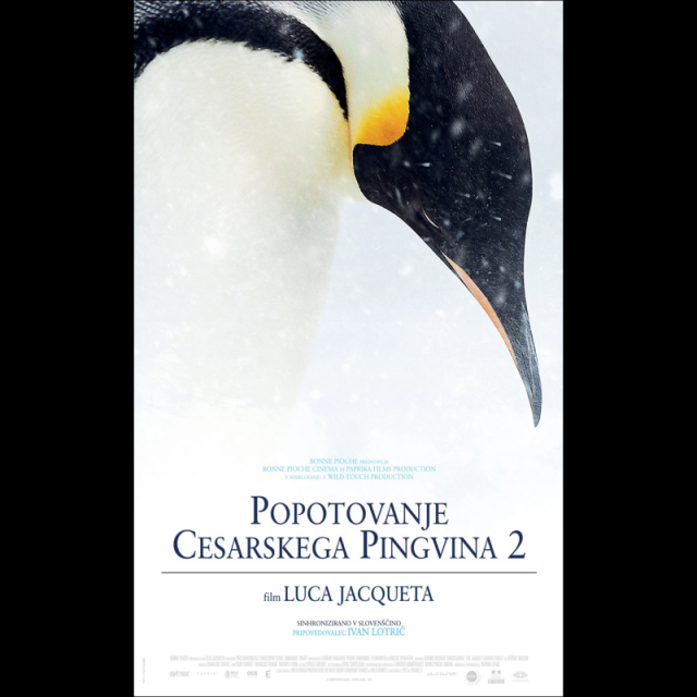 POPOTOVANJE CESARSKEGA PINGVINA 2