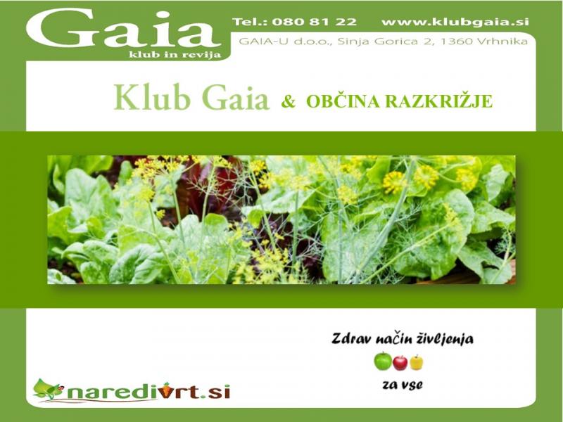 Samooskrbni zelenjavni vrt