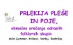 Prlekija pleše in poje, območno srečanje odraslih folklornih skupin