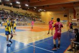 RD Koper 2013 - RK Celje Pivovarna Laško