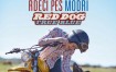 RDEČI PES MODRI