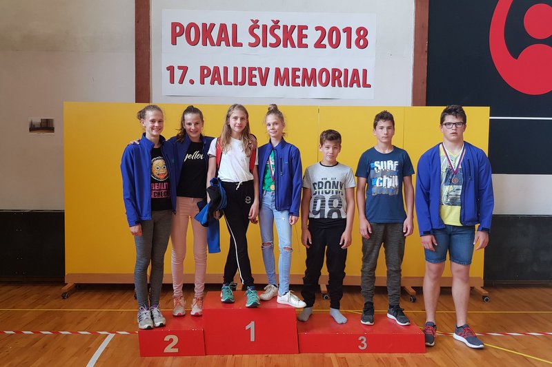 Prleški judoisti na Palijevem memorialu