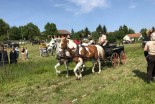 4. mednarodno srečanje kočij in kočijažev