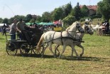 4. mednarodno srečanje kočij in kočijažev