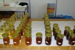 Čebelarji in med