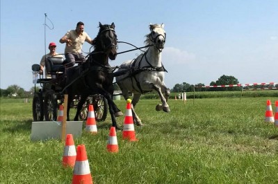 4. mednarodno srečanje kočij in kočijažev