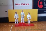 Prleški judoisti na Palijevem memorialu