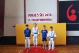 Prleški judoisti na Palijevem memorialu