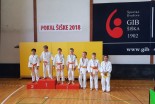 Prleški judoisti na Palijevem memorialu