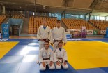 Prleški judoisti na turnirju za Baumgartnov pas