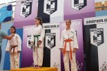 Prleški judoisti na turnirju za Baumgartnov pas