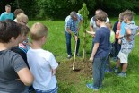 Sajenje dreves pri Sv. Juriju ob Ščavnici