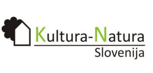 Slovesnost s podelitvijo priznanj naša Slovenija 2017