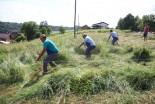 Košnja v Oseku pri Sveti Trojici