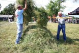 Košnja v Oseku pri Sveti Trojici