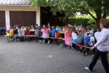 Mednarodni teden za ohranitev čebelic