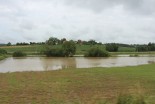 Poplavljen travnik