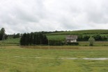 Poplavljen travnik