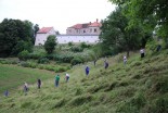 Ročna košnja v Negovi