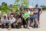 Saditev medonosnih dreves v Ljutomeru