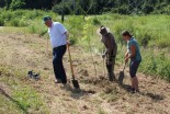 Saditev medonosnih dreves v Ljutomeru