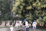 Tabor za radovedne in nadarjene