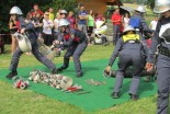 Tekmovanje za pokal PGD Koračice in GZ Sveti Tomaž