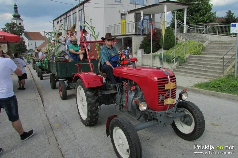 55. prireditev Praznik žetve z razstavo kruha in pogač