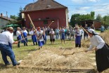 24. Žetev zlatega klasa