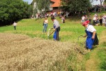 55. Praznik žetve na Polenšaku