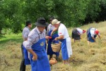 55. Praznik žetve na Polenšaku