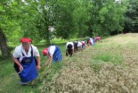 55. Praznik žetve na Polenšaku