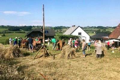 Veselo srečanje ob žetvi in mlačvi