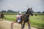 Kasaške dirke v Križevcih