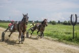 Kasaške dirke v Križevcih